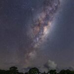 Auckland (Tawharanui): Wild Kiwi Bird Spotting Encounter - Why This Tour Is Worth It