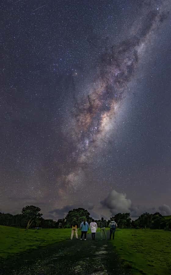 Auckland (Tawharanui): Wild Kiwi Bird Spotting Encounter - Why This Tour Is Worth It