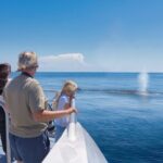 Auckland: Tikapa Moana Dolphin, Whale and Island Cruise - Authentic Experiences and Review Highlights