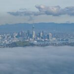 Auckland to Rangitoto Island Ferry - What the Reviews Say