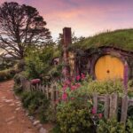 Auckland to Rotorua via Hobbiton Small Group Tour (One Way) - Who Should Consider This Tour?