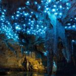 Auckland to Waitomo Caves and Hobbiton Movie Set Private Tour - Transportation and Comfort