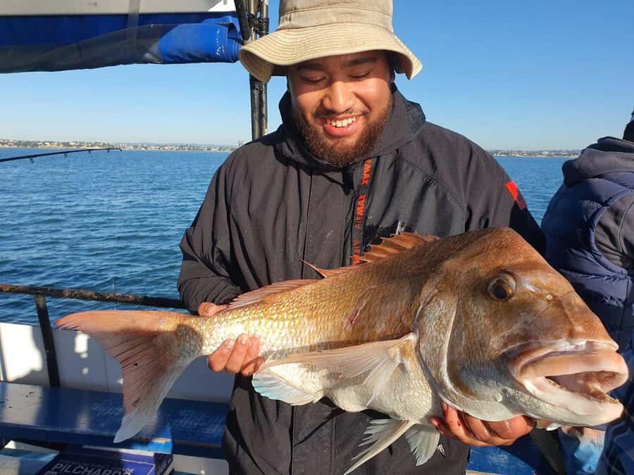 Auckland: Twilight Fishing Charter 5pm - 9:30pm - Summary: Is It Worth It?