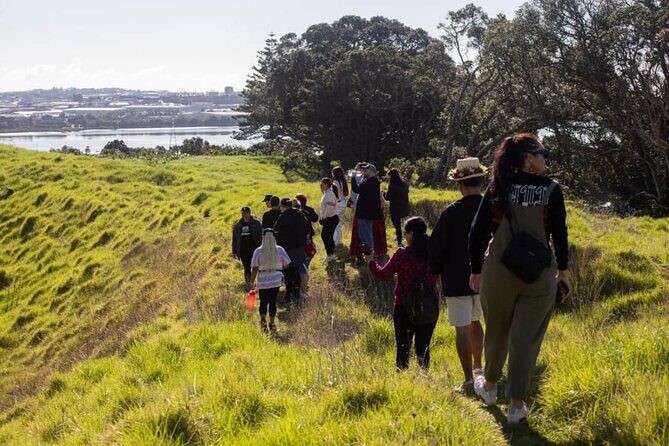 Auckland Urban Mori Experience with Transportation - The Sum Up: Is This Tour Worth It?
