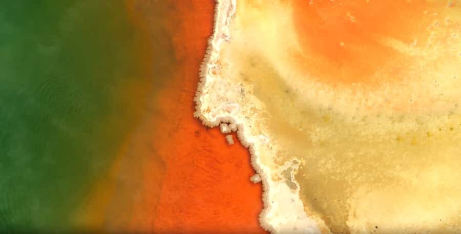 Auckland: Wai-O-Tapu, Waikite Hot Pools & Huka Falls Cruise - What Makes This Tour Stand Out?