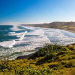 Auckland: West Coast Discovery - Why This Tour Offers Good Value
