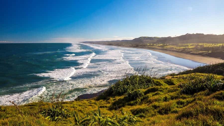Auckland: West Coast Discovery - Why This Tour Offers Good Value