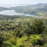 Auckland West Coast Half-Day Private Tour - How the Experience Comes to Life