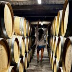 Auckland West Vineyard Tour with lunch and tastings incl - Why This Tour Offers Great Value