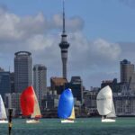 Auckland: Wild West Coast, Black Sand Beaches Tour inc Lunch - The Experience in Detail