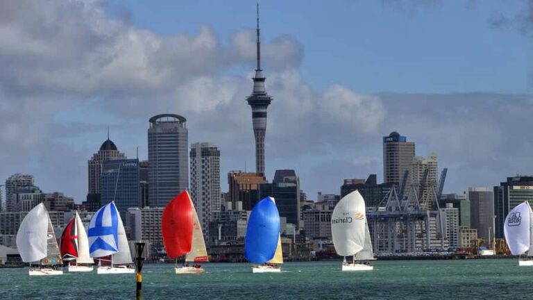 Auckland: Wild West Coast, Black Sand Beaches Tour inc Lunch - The Experience in Detail