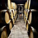 Auckland: Wine region tour with tastings and gourmet lunch - Vineyard Visits: What You Can Expect