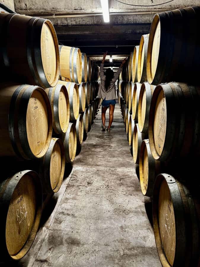 Auckland: Wine region tour with tastings and gourmet lunch - Vineyard Visits: What You Can Expect