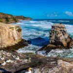 Auckland's Wild West Coast & Black Sand Beaches Tour inc Lunch - Who Will Love This Tour?