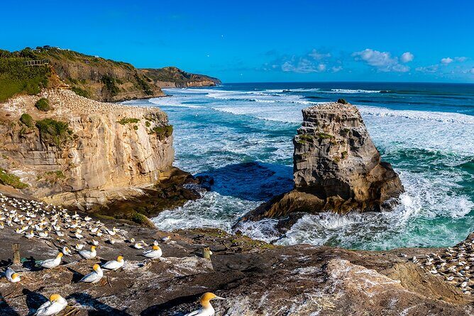 Auckland's Wild West Coast & Black Sand Beaches Tour inc Lunch - Who Will Love This Tour?