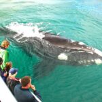 Augusta Whale Watching Eco Tour - Why the Experience Is Worth the Price