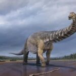 Australian Dinosaur Giants Tour - Who Should Consider This Tour?