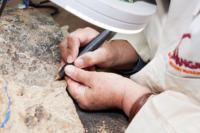 Australian Dinosaur Giants Tour - The Travel Context: Why Visit Eromanga?