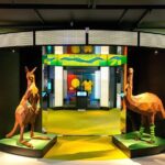 Australian Sports Museum Ticket - Who Will Love This Experience?