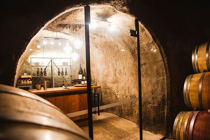 Award Winning Premium Wine Tour Queenstown Tasting at 4 Wineries - The Transport and Group Dynamics