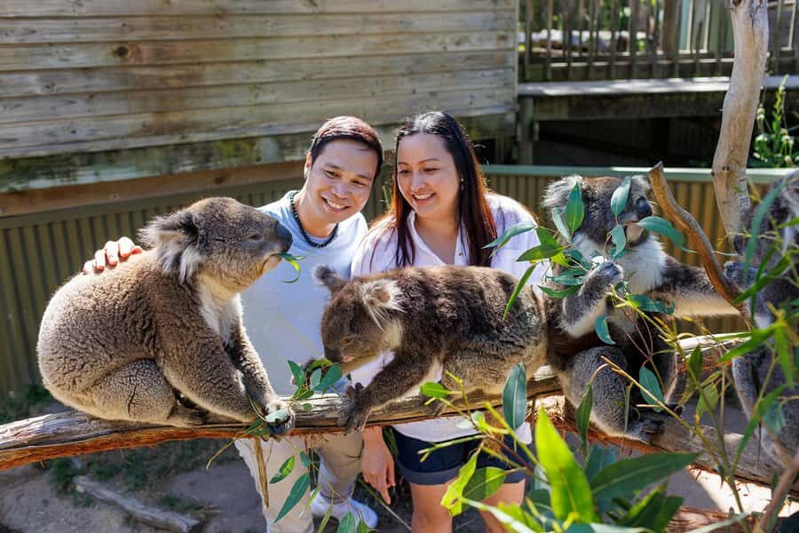 Ballarat: Wildlife Park Entry Ticket - Authentic Experiences and Unique Highlights