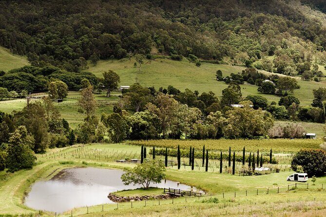 Barefoot Luxury Mount Tamborine Winery Tour from Brisbane - Exploring the Itinerary: What to Expect