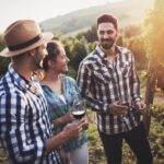 Barefoot Luxury Mount Tamborine Winery Tour from Gold Coast - Pricing and Value