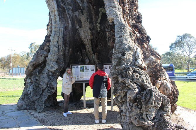 Barossa and Hahndorf Day Trip from Adelaide Including Wine Tasting and Lunch - The Itinerary Breakdown