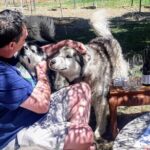 Barossa Private Wine Tour - Who Will Love This Tour?