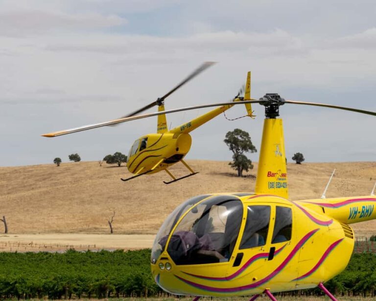 Barossa Valley: 30 Minute Scenic Helicopter Flight - The Experience Itself: From Takeoff to Landing