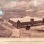 Barossa Valley and Hahndorf Tour- Cruise Ship Pickups - The Travel and Price Perspective