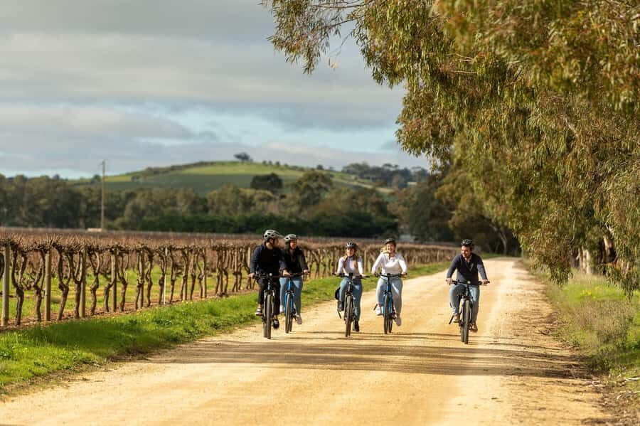 Barossa Valley: Gourmet Food and Wine E-Bike Tour - Why This Tour Offers Genuine Value