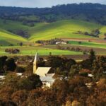 Barossa Valley Hop-On Hop-Off Wine Tour - What Makes This Tour Stand Out?
