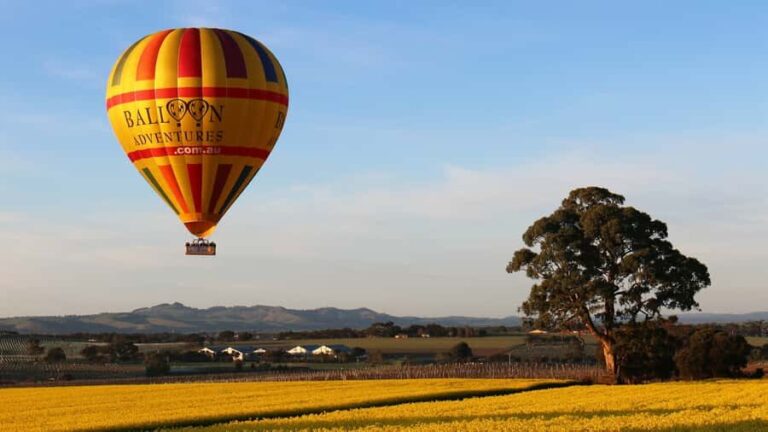 Barossa Valley: Hot Air Balloon Flight - The Value and the Experience