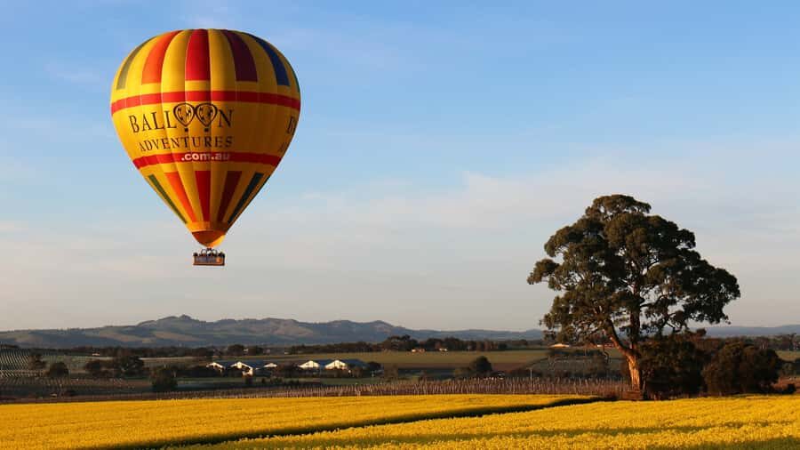 Barossa Valley: Hot Air Balloon Flight - The Value and the Experience