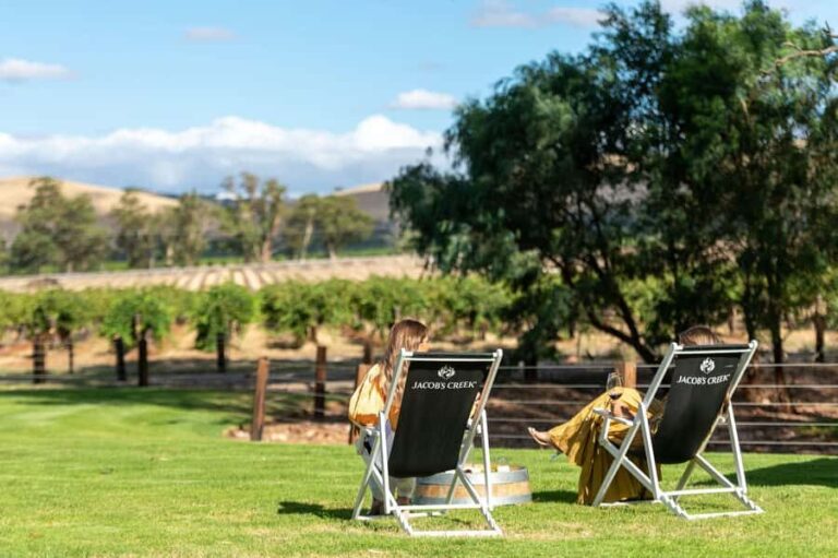 Barossa Valley: Jacob's Creek Perfect Picnic - A Closer Look at the Experience