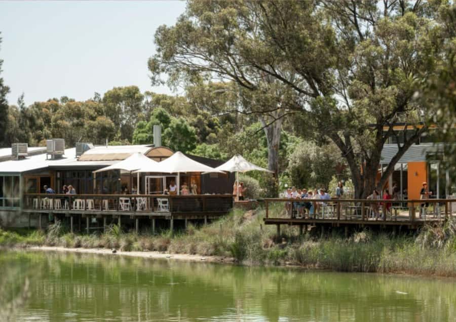 Barossa Valley: Maggie Beer's Wine Tasting & Cheese Platter - Who Should Consider This Tour?