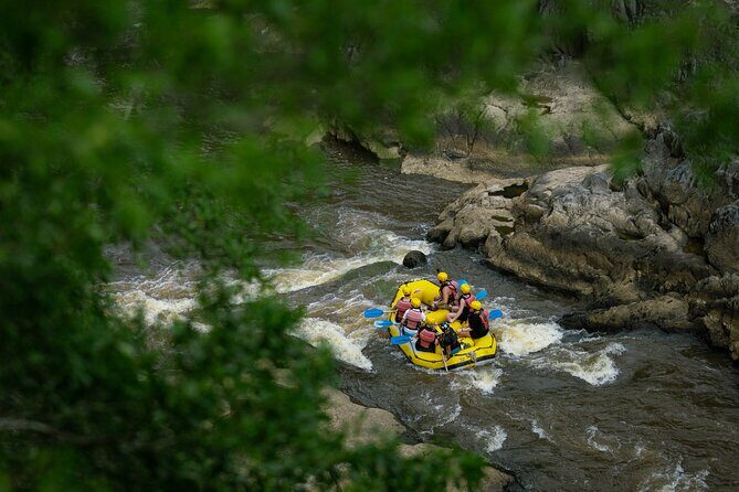 Barron River Half-Day White Water Rafting Cairns or Port Douglas - In-Depth Look at the Itinerary
