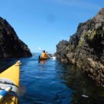 Batemans Bay: Half-Day Sea Kayak Tour - What to Expect on the Water