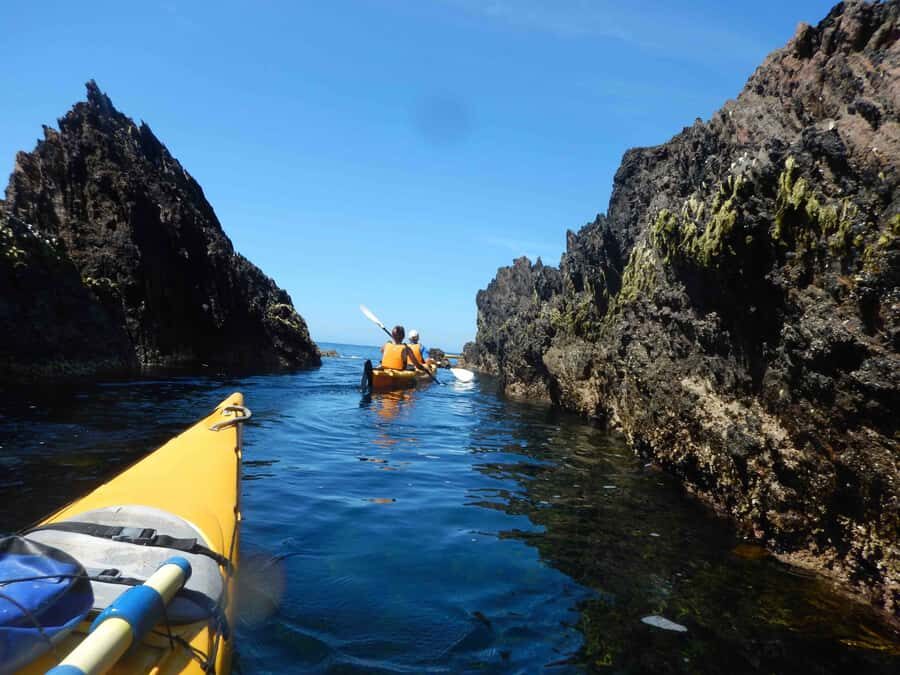 Batemans Bay: Half-Day Sea Kayak Tour - What to Expect on the Water