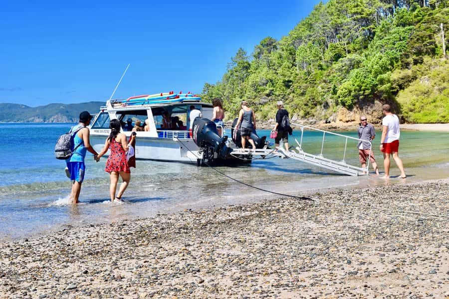 Bay of Islands: 4.5 Hour Day Cruise and Island Getaway Tour - What Makes This Tour Stand Out?