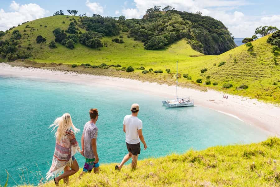 Bay of Islands: Catamaran Sail, Wildlife Island & Lunch - Final Word