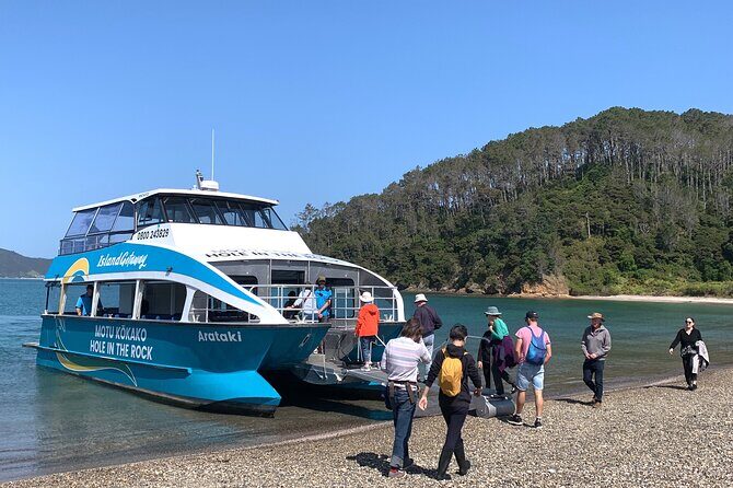 Bay of Islands Cruise & Island Tour - Snorkel, Hike,Swim,Wildlife - Authentic Reviews & Real Experiences