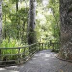 Bay of Islands - Explorer Tour - Transportation, Group Size, and Timing