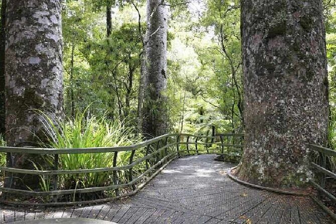 Bay of Islands - Explorer Tour - Transportation, Group Size, and Timing