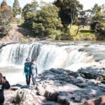 Bay of Islands Glow Worm Caves & Scenic Shore Excursion - Authentic Experiences and Authenticity