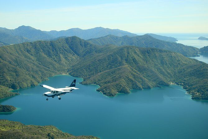 Bays and Bush Flight Scenic Tour - Value for Money and Practical Details