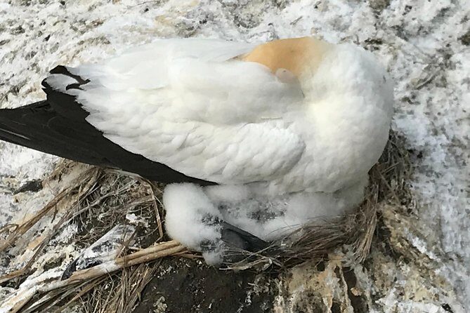 Beautiful Nature Tours Auckland - Private Tour - The True Value of This Tour