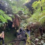 Beauty of the Blue Mountains Private Tour - Who is this tour best suited for?