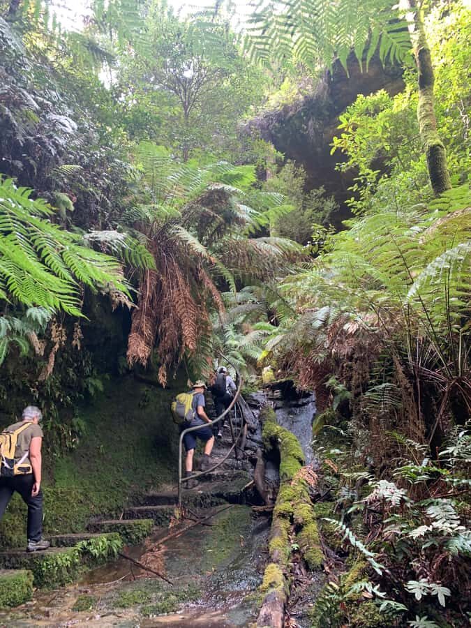 Beauty of the Blue Mountains Private Tour - Who is this tour best suited for?